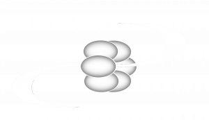 Logo Panache