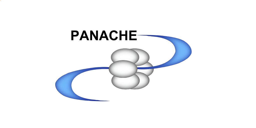 PANACHE logo